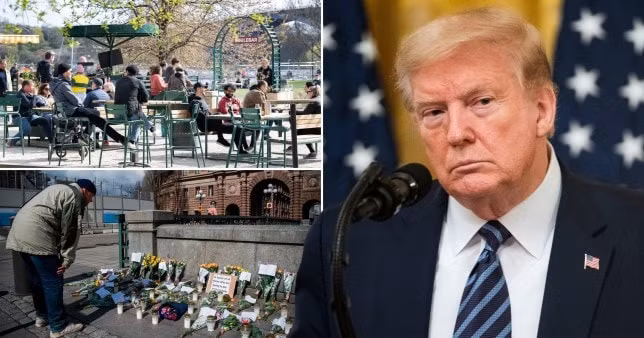 Số liệu mới đây cho thấy tình hình ở Thụy Điển đang dần xấu đi. Ảnh: IBL/REX/AFP, Getty Images