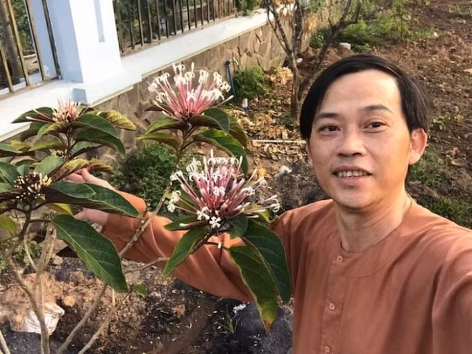 hoai-linh khoe -da-1