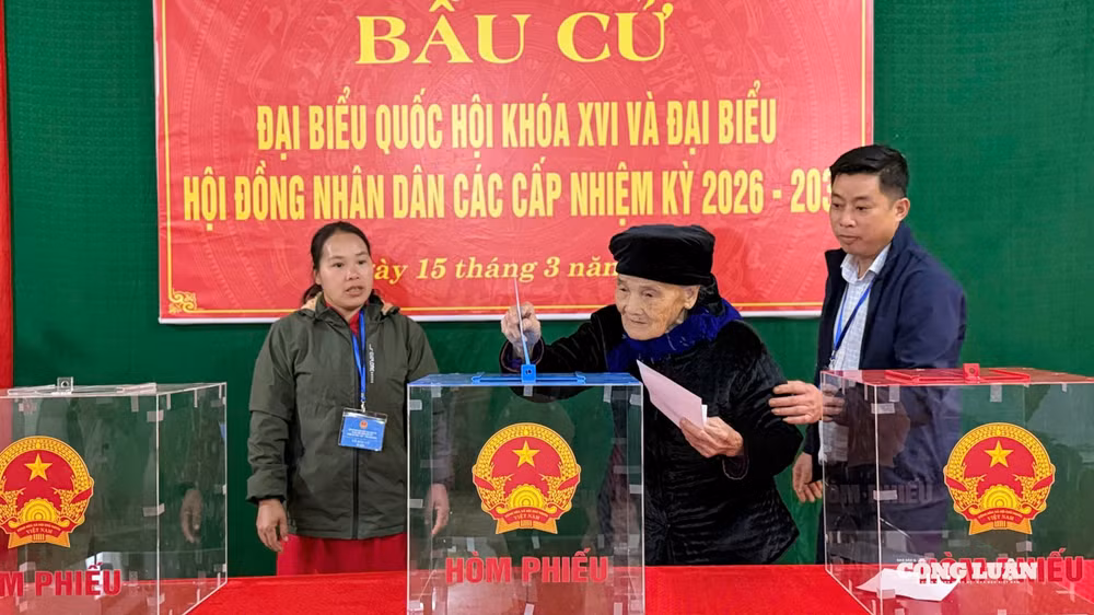 Dù tuổi cao, nhiều cử tri vẫn có mặt từ sớm tại điểm bầu cử để tự tay bỏ lá phiếu của mình.