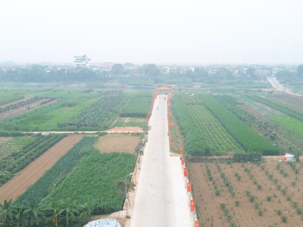 dji_0376-d95b83fa8160d97caef0883f3ef83a3d.jpg