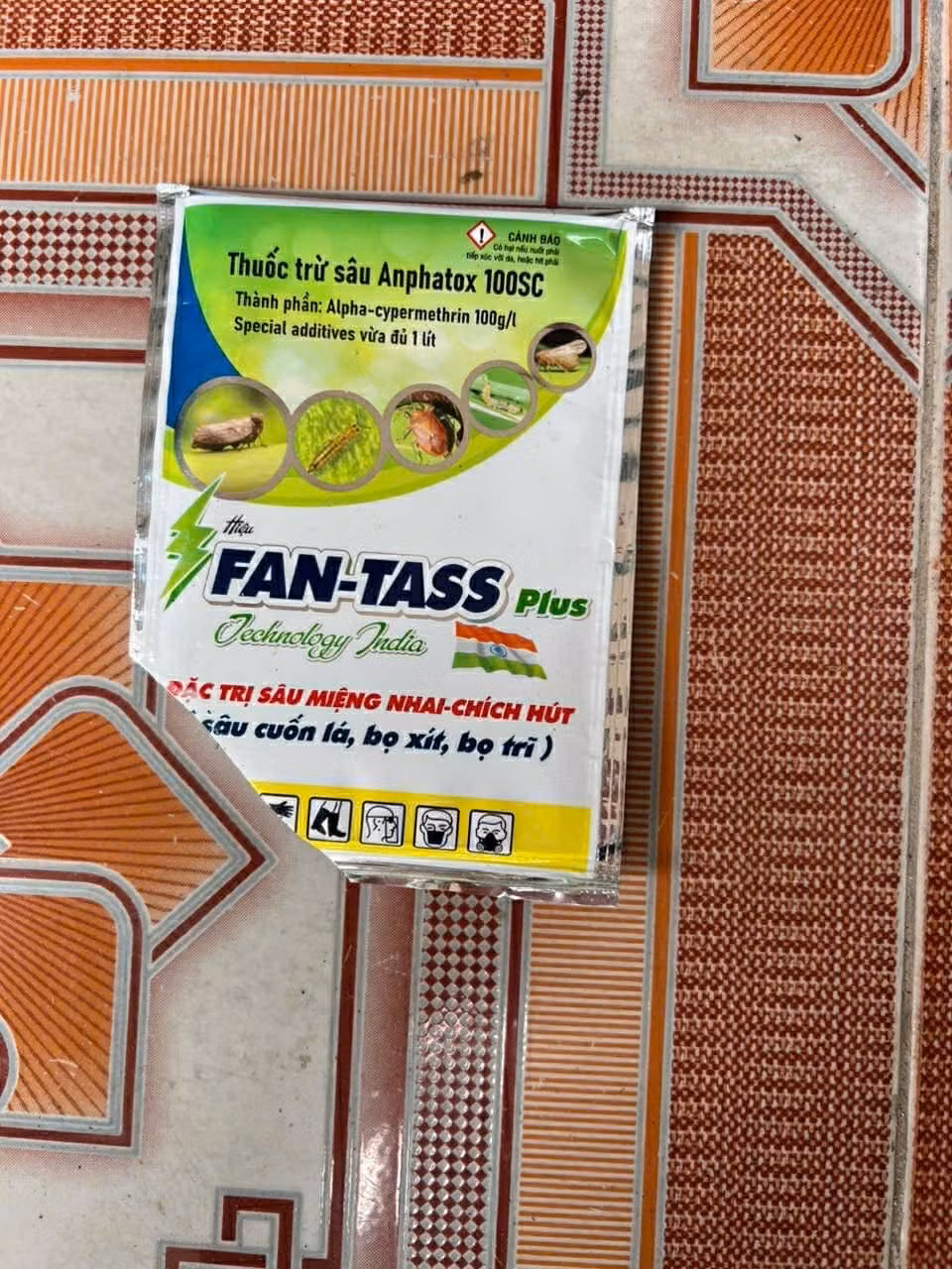 afe6a82c-4c81-44fb-a781-d51fa386b954.jpeg