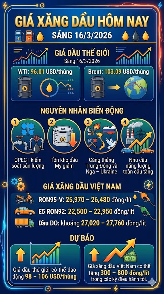 giaxangdau163.jpg