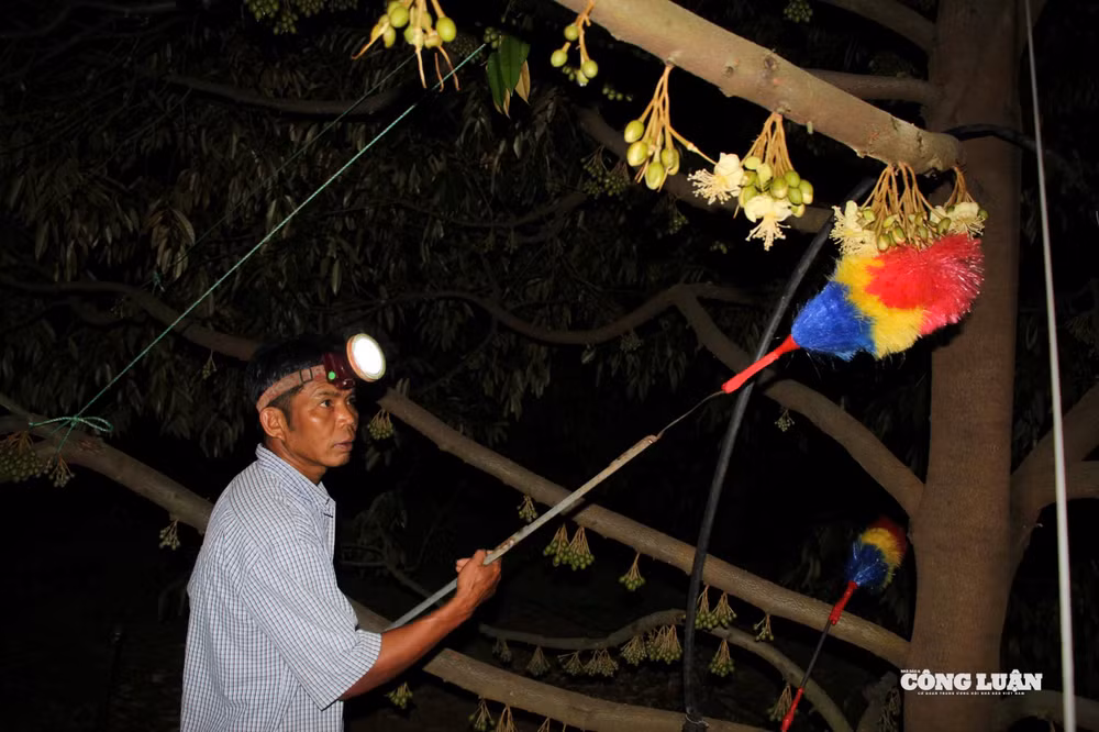 z7632160624004_dc677dac2043dd45d355fbcf4fc7dd62.jpg