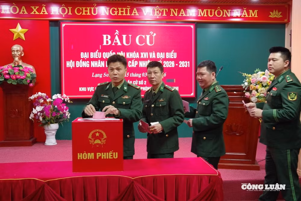 87.jpg