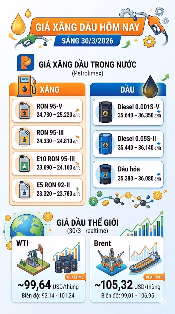 giaxangdau303.jpg