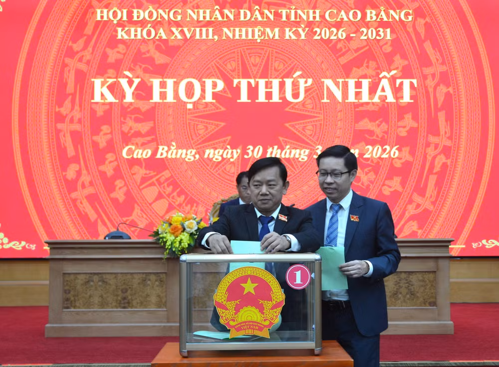 A NAM BỎ PHIẾU
