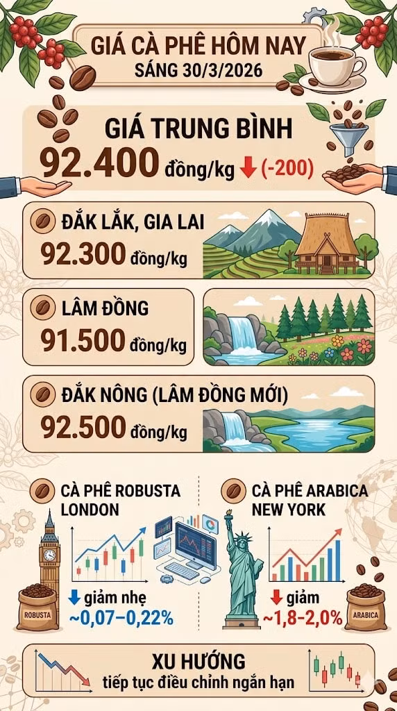 giacaphe303.jpg