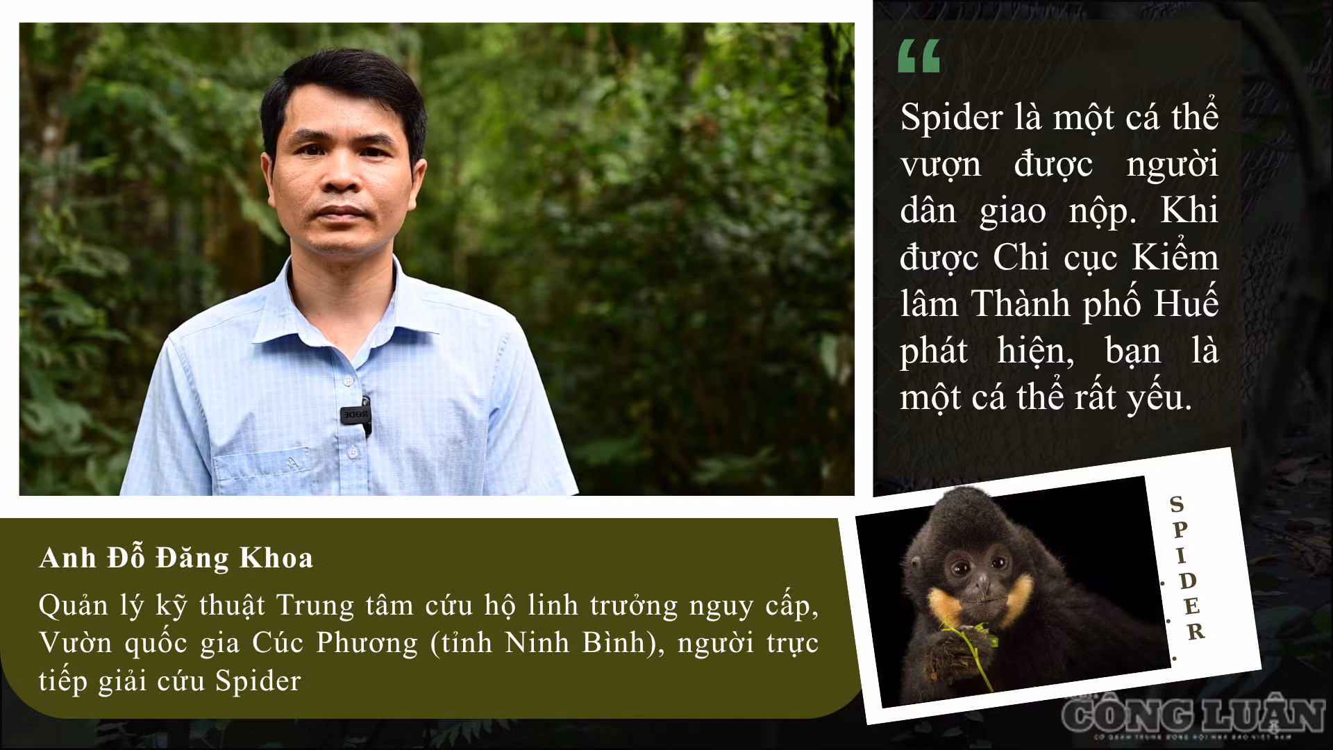clo_br_anh-1.png
