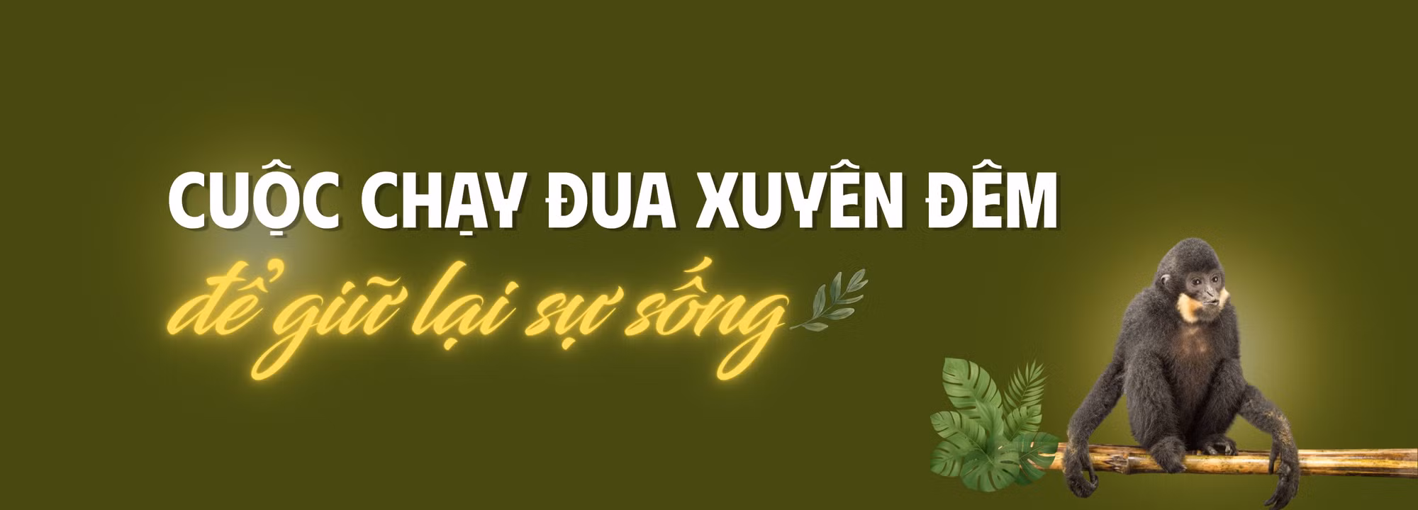 tit-xen-1.png