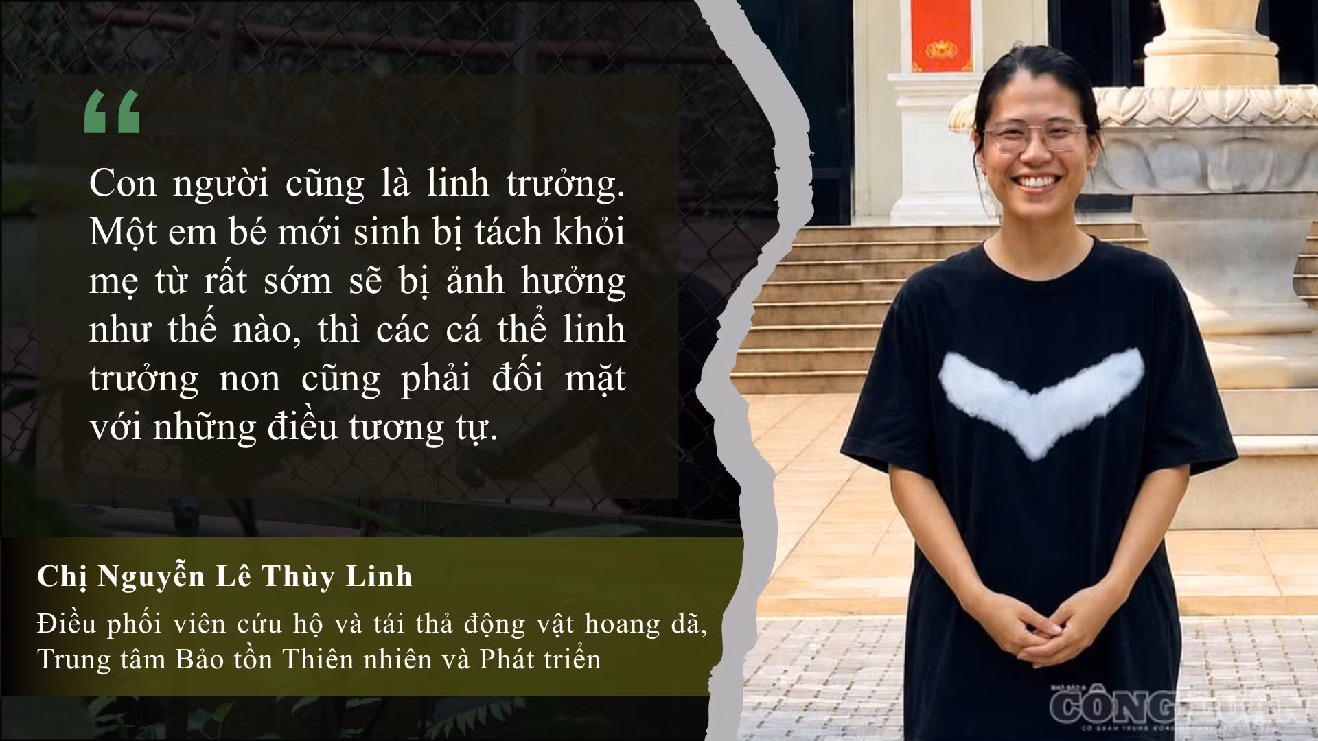 clo_br_anh-6.png