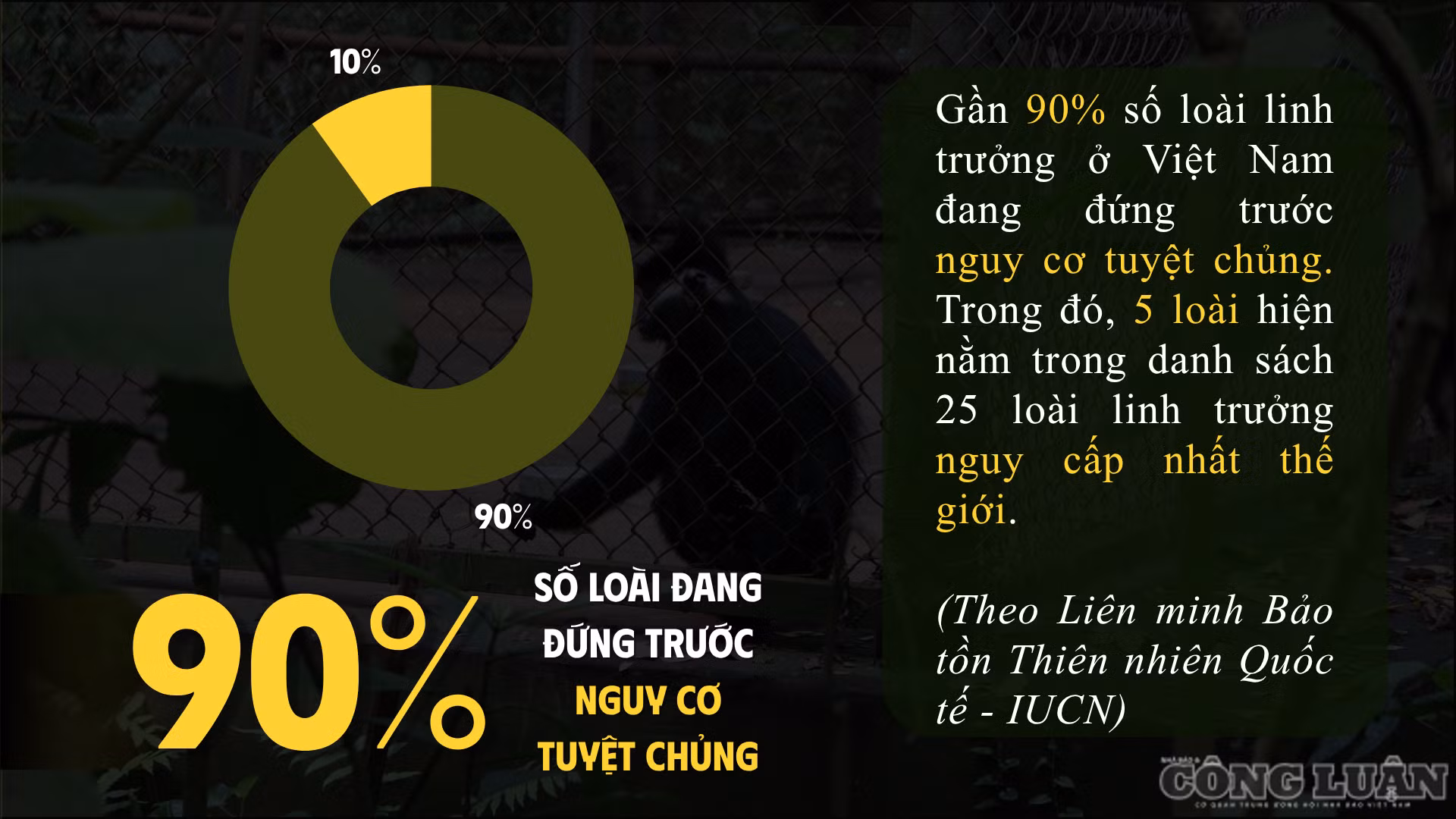 clo_br_anh-5.png