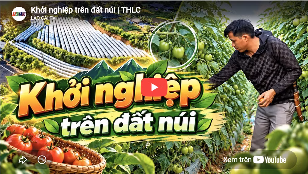anh-chup-man-hinh-2026-10-30-luc-165610.png