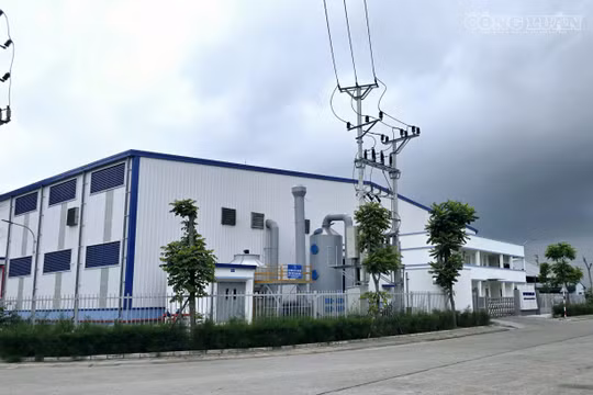 Công ty TNHH Đức Nhuận Phát Việt Nam tại phường Yên Tử, tỉnh Quảng Ninh.