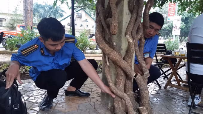 Cơ quan chức năng tiến hành khám nghiệm hiện trường.