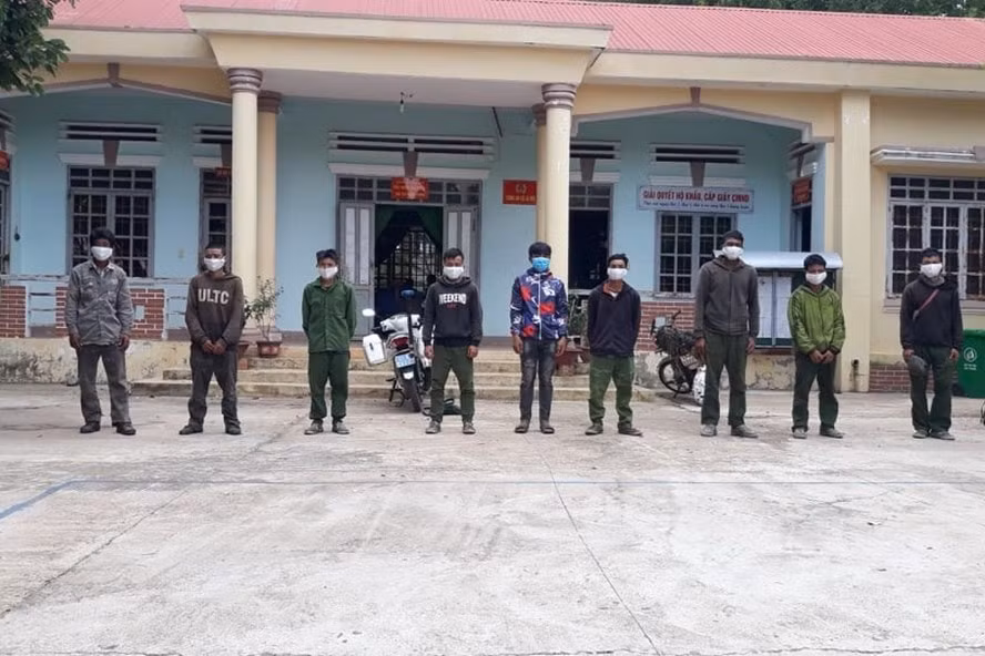 Nhóm đối tượng vận chuyển lâm sản trái phép từ Campuchia (giáp tỉnh Đắk Lắk) về Việt Nam tiêu thụ. Ảnh: laodong.vn