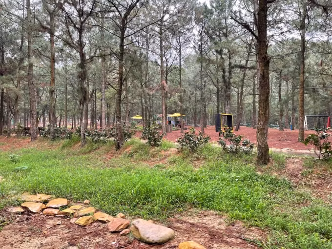 Khu du lịch sinh thái được xây trong phần lõi rừng đặc dụng Hà Nội.