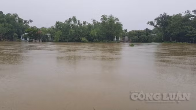 Nhiều khu vực vùng trũng đã bị ngập sâu.