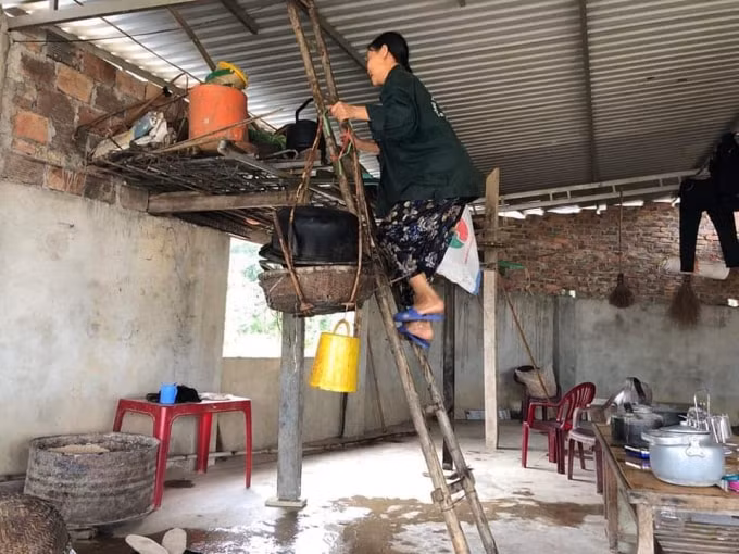 Người dân huyện Hương Khê, Hà Tĩnh di chuyển vật nuôi, đồ đạc trong nhà trước khi nước dâng cao