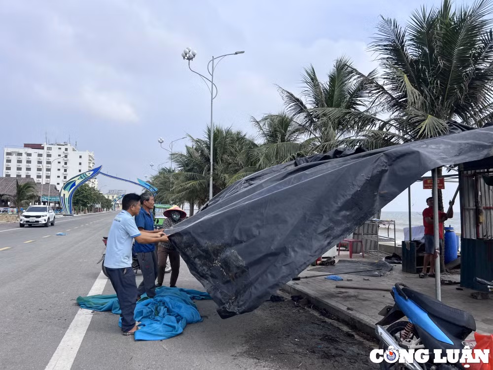 thao do nhieu leu bat tai khu du lich bien hai tien thanh hoa hinh 1