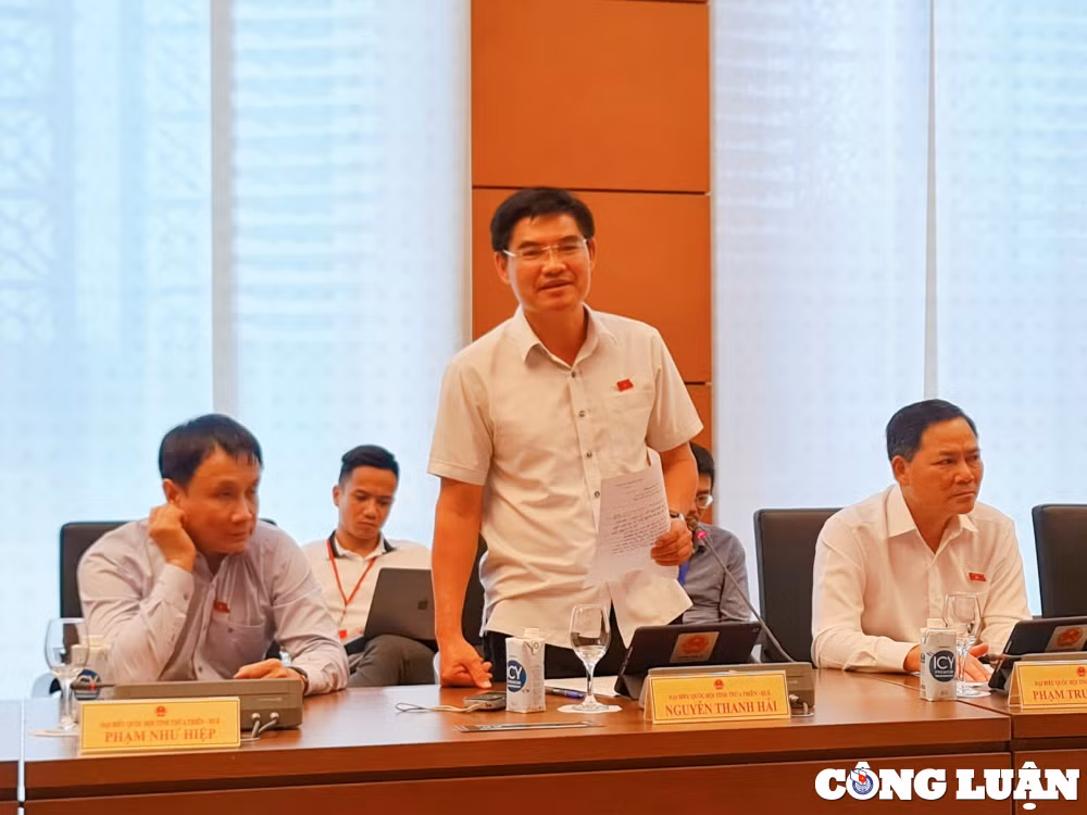dai bieu quoc hoi tron dong bao hiem xa hoi thi phai xu ly hinh su hinh 3