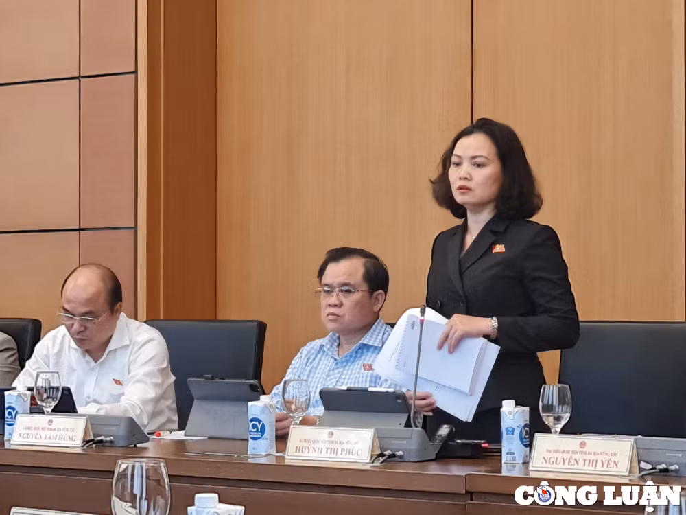 dai bieu quoc hoi tron dong bao hiem xa hoi thi phai xu ly hinh su hinh 2