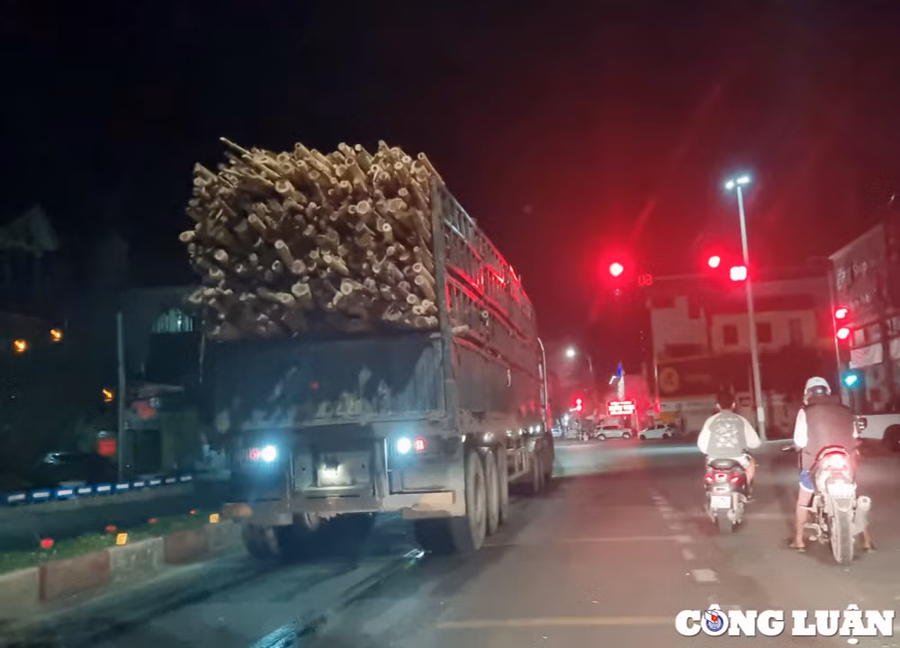 nghe an xe co dau hieu qua kho qua tai cho go keo nhon nhip trong dem tren ql48 hinh 7