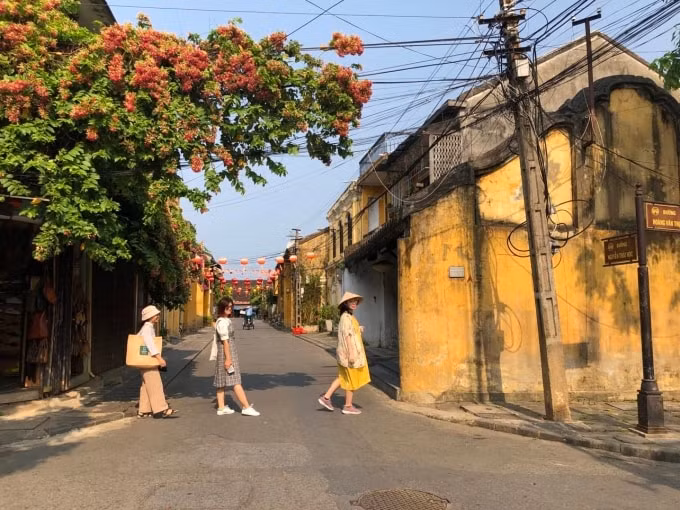 nhieu khach viet di du lich de tim nguoi yeu quen tinh cu hinh 1