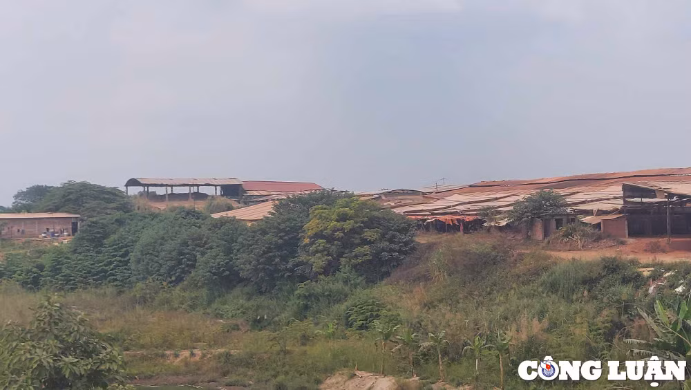 bai 3 chuyen vu viec den co quan cong an de dieu tra dau hieu khai thac dat trom hinh 3