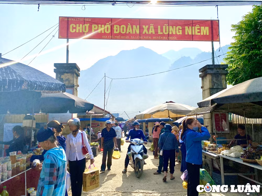 net doc dao hap dan tai cho phien pho doan hinh 1