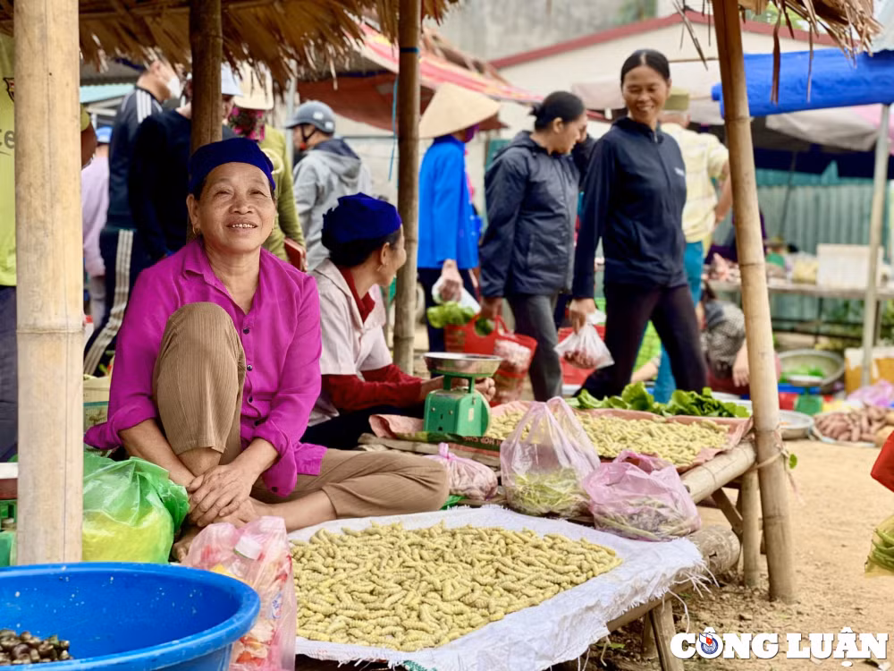 net doc dao hap dan tai cho phien pho doan hinh 7