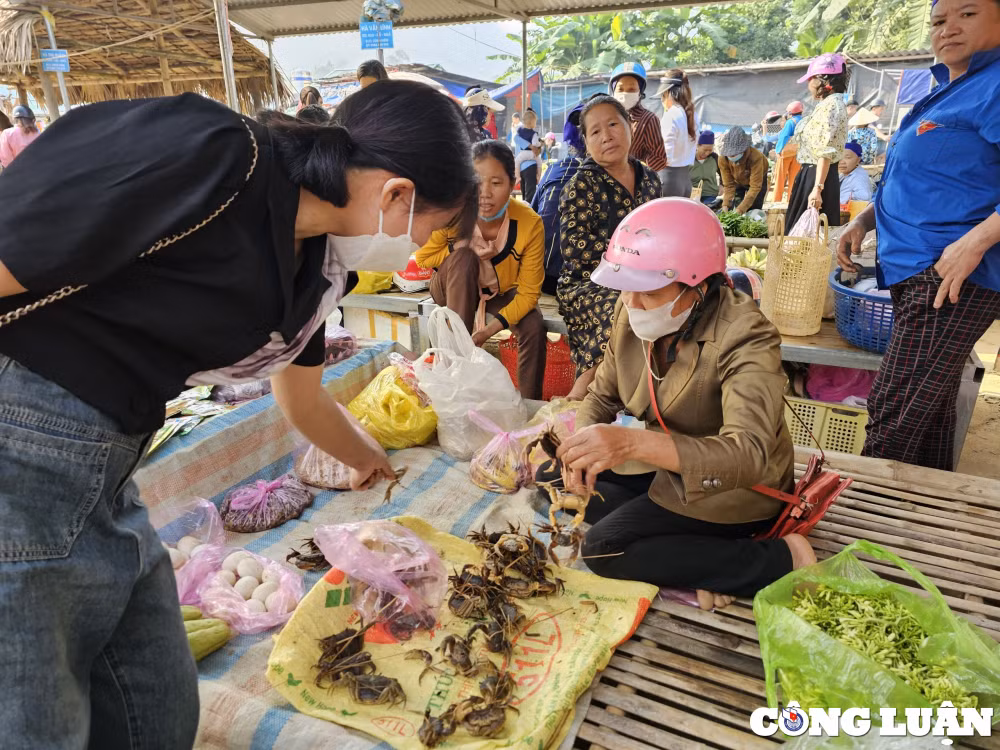 net doc dao hap dan tai cho phien pho doan hinh 11