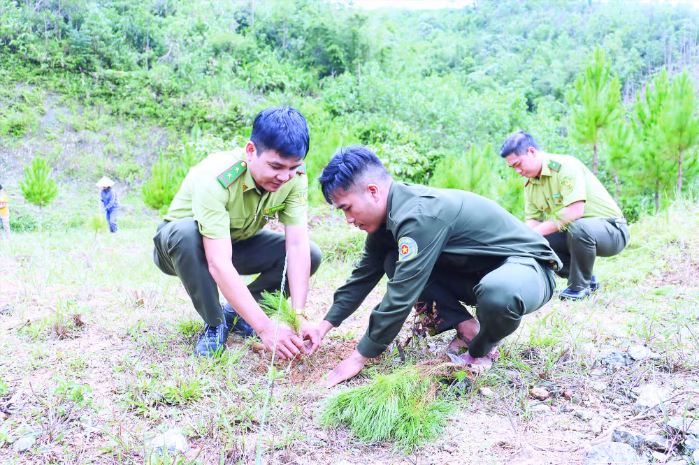 ban quan ly rung phong ho tay giang giu rung de nang muc song cho dong bao hinh 4