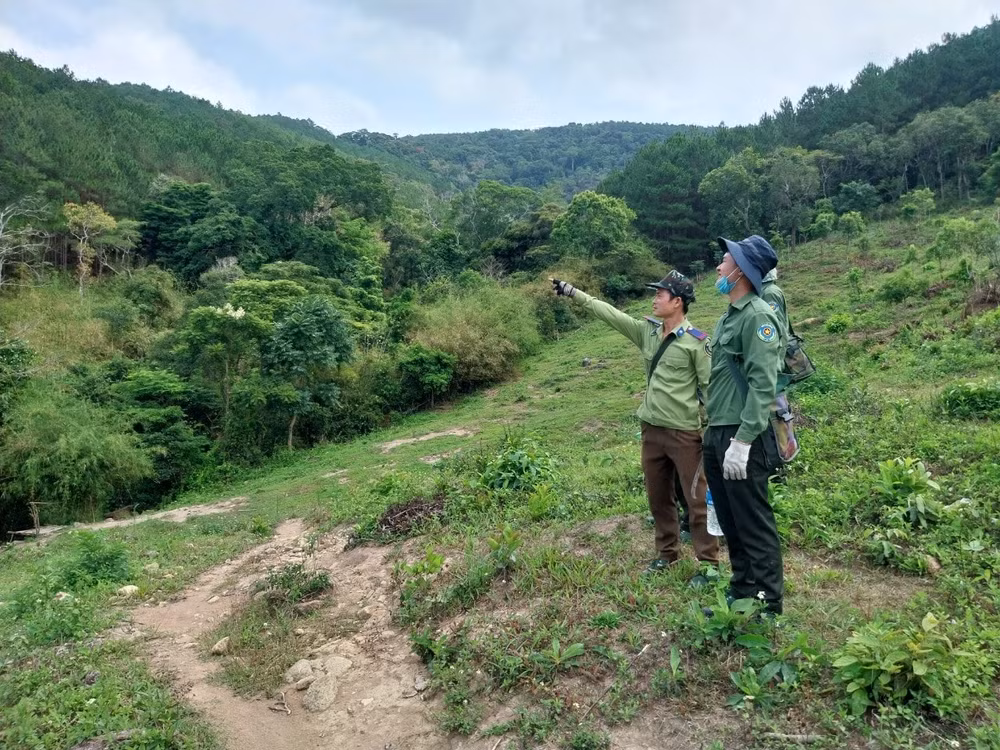 gia lai nhan vien bao ve rung nghi viec hang loat mot nguoi phai ganh tren vai hon 3000 ha rung hinh 4