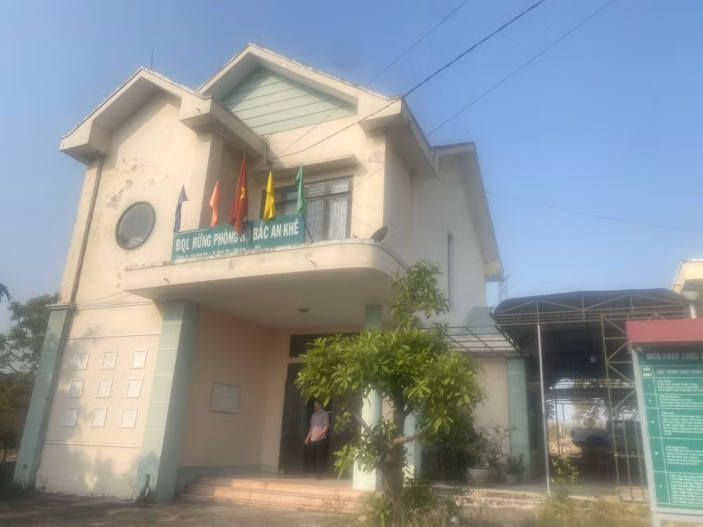 gia lai nhan vien bao ve rung nghi viec hang loat mot nguoi phai ganh tren vai hon 3000 ha rung hinh 1