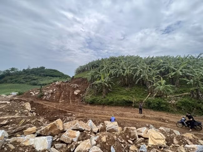 xu phat cong ty vu truong giang 120 trieu dong vi lan chiem dat rung de khai thac khoang san hinh 1