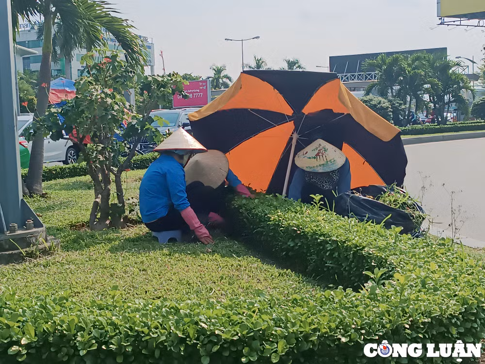 nguoi dan tim du cach tranh nang trong dot nong cao diem tai tp hcm hinh 6