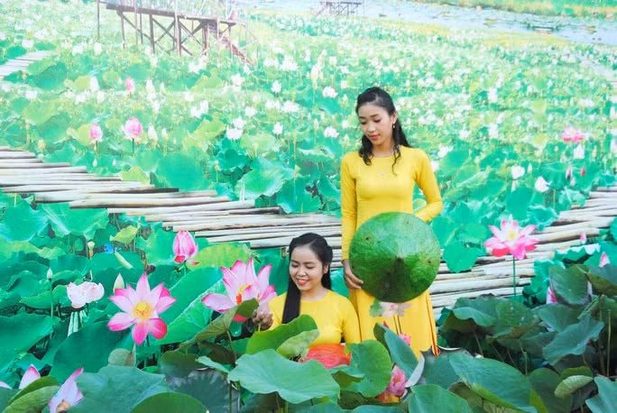 tp hcm nang cao doi song nong dan gan hoat dong du lich nong nghiep hinh 1