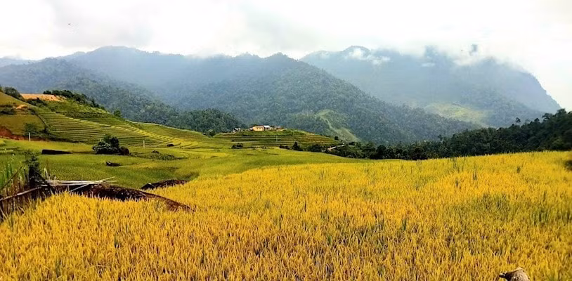 du lich dan thang diem den tiem nang cua lao cai hinh 1