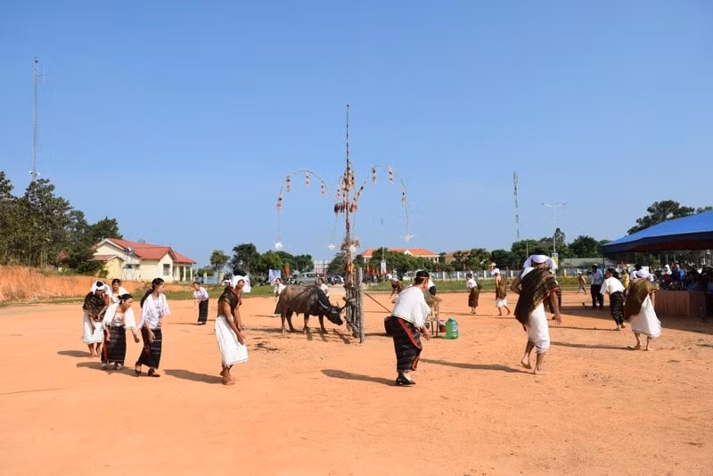 tai hien le hoi mung lua moi cua nguoi churu o lam dong hinh 4