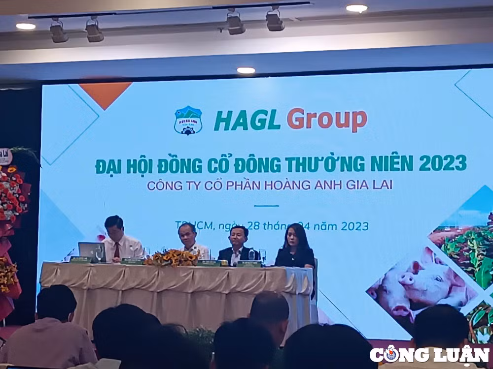 hoang anh gia lai hag suyt khong to chuc duoc dhdcd ke hoach loi nhuan di ngang khong chia co tuc hinh 1