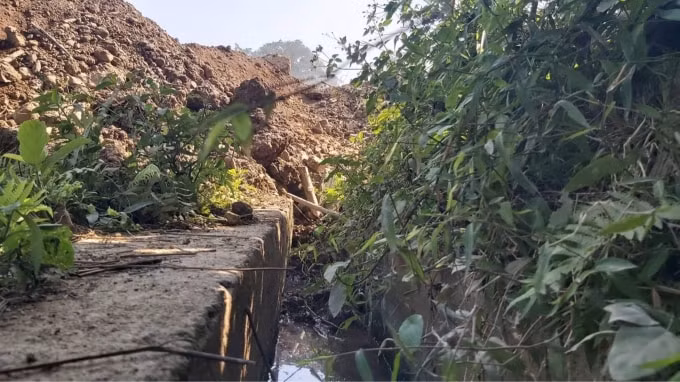 Theo báo cáo của UBND thị trấn Ngọc Lặc, nhà thầu thi công đã vùi lấp 1,2 km kênh mương tưới tiêu của người dân. Ảnh: Quang Duy