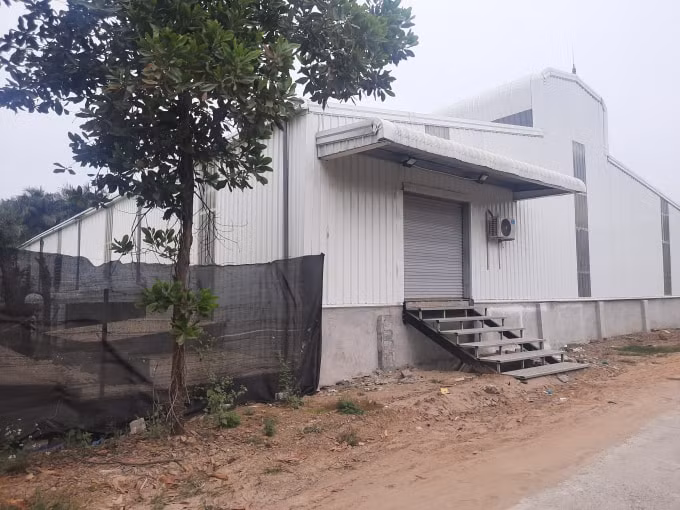 Nhà xưởng xd không phép của Công ty CP sữa chua trân châu Hạ Long đã đi vào hoạt động chính thức được hơn 1 năm.