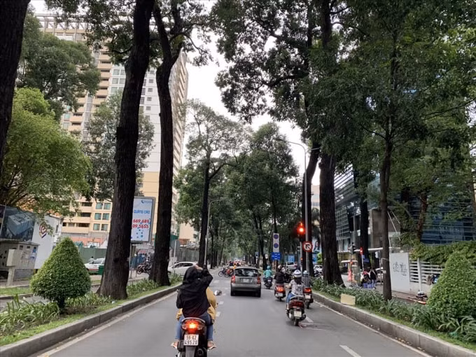 TP. HCM lạnh từ khuya 9/1, sáng 10/1. Ảnh: TL
