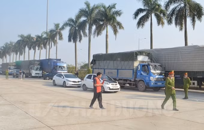 Các xe ô tô chở hàng nhập lậu bị bắt giữ. Ảnh: baohaiduong.vn