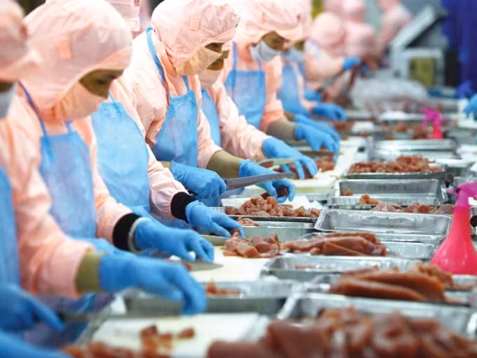 Nhiều 'cửa sáng' cho ngành thủy sản xuất khẩu của Việt Nam sang các thị trường lớn. Ảnh minh họa