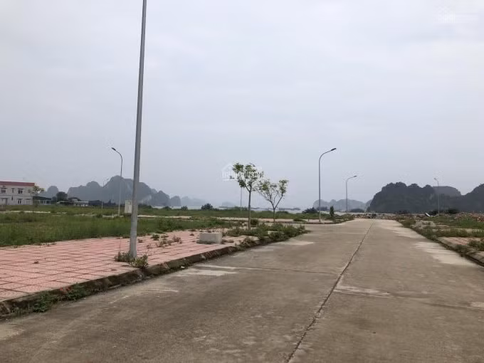 Sau một thời gian ngắn 