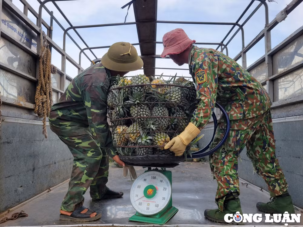 niem vui cua nguoi nong dan tren nhung canh dong dua hinh 10