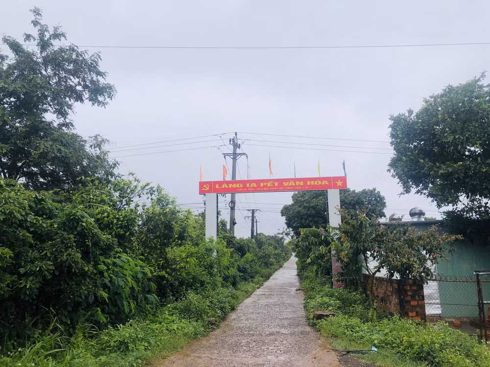gia lai be trai 3 tuoi tu vong sau mot thang bi meo nha can vao tay hinh 1