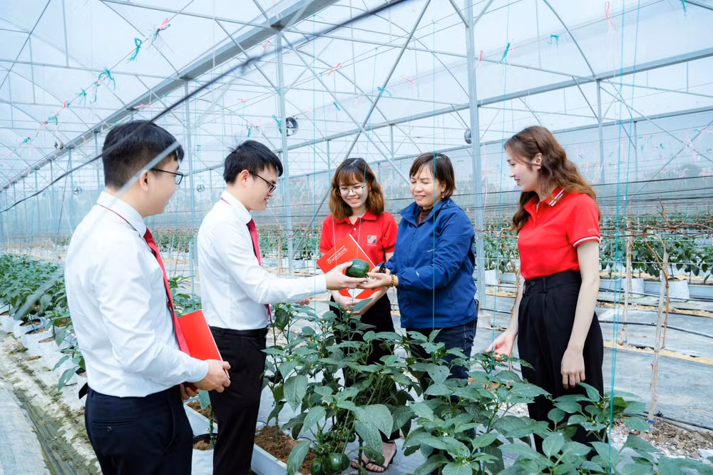agribank dong hanh thao go kho khan day manh cung ung von nen kinh te hinh 1