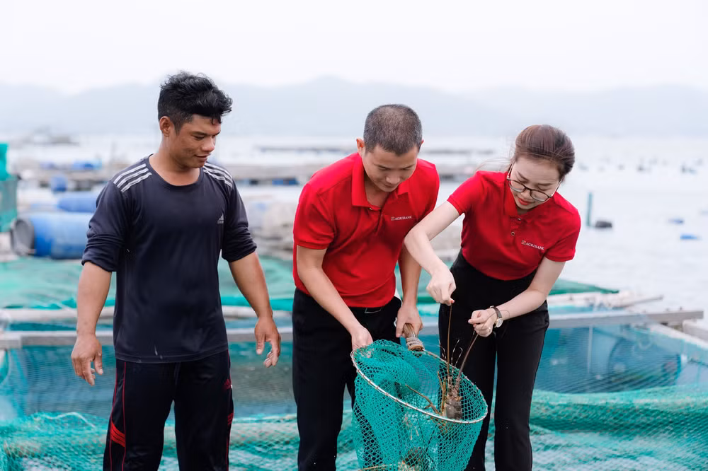 agribank dong hanh thao go kho khan day manh cung ung von nen kinh te hinh 4